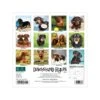 2023 Willow Creek Dachshund Rules 7" X 7" Monthly Wall Calendar (28469) 1 2023 Willow Creek Dachshund Rules 7" X 7" Monthly Wall Calendar (28469) -Bostich Shop 08E240DE CD50 4A5D BA667BE6ABE9ACC1 s7