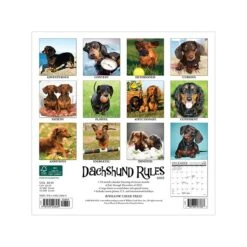 2023 Willow Creek Dachshund Rules 7" X 7" Monthly Wall Calendar (28469)