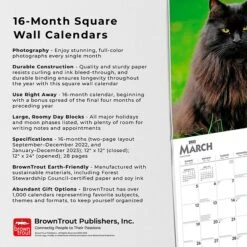 2023 BrownTrout Maine Coon Cats 12" X 12" Monthly Wall Calendar (9781975452124) -Bostich Shop 0968D4EA AB95 446C A5058D2CCA8E309F s7