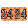 Medical Arts Press Holographic End-Tab Year Labels, 2024, Orange, 500/Roll (074HOR) -Bostich Shop 12D7FB76 3B38 4C9C 8FEF2A0B022683C6 s7