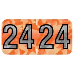 Medical Arts Press Holographic End-Tab Year Labels, 2024, Orange, 500/Roll (074HOR)