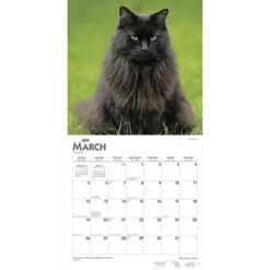 2023 BrownTrout Maine Coon Cats 12" X 12" Monthly Wall Calendar (9781975452124) -Bostich Shop 17F199B9 2A7D 4DB1 B7577A371924C3F9 s7