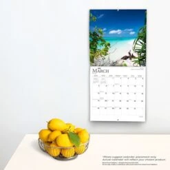 2023 BrownTrout Paradise 12" X 12" Monthly Wall Calendar (9781975448912) 11 2023 BrownTrout Paradise 12" X 12" Monthly Wall Calendar (9781975448912) -Bostich Shop 2017ADB7 0048 4D92 87012F7C7465FD81 s7