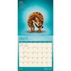 Bostich Shop 24 Bostich Shop -Bostich Shop 30B32D7A 7FC2 46B9 95C90DDDA9FAAE87 s7