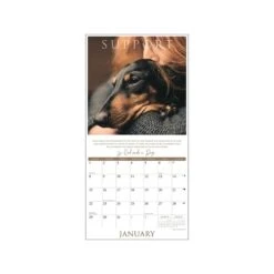 2023 Willow Creek So God Made A Dog 12" X 12" Monthly Wall Calendar (27769) 5 2023 Willow Creek So God Made A Dog 12" X 12" Monthly Wall Calendar (27769) -Bostich Shop 390A7BD2 B689 4E60 83C4DFADF6EAB4B1 s7
