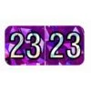Medical Arts Press® Holographic End-Tab 2023 Year Label, 1-1/2" X 3/4", Violet, 500/Roll (0723HV)