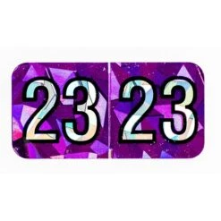 Medical Arts Press® Holographic End-Tab 2023 Year Label, 1-1/2" X 3/4", Violet, 500/Roll (0723HV)