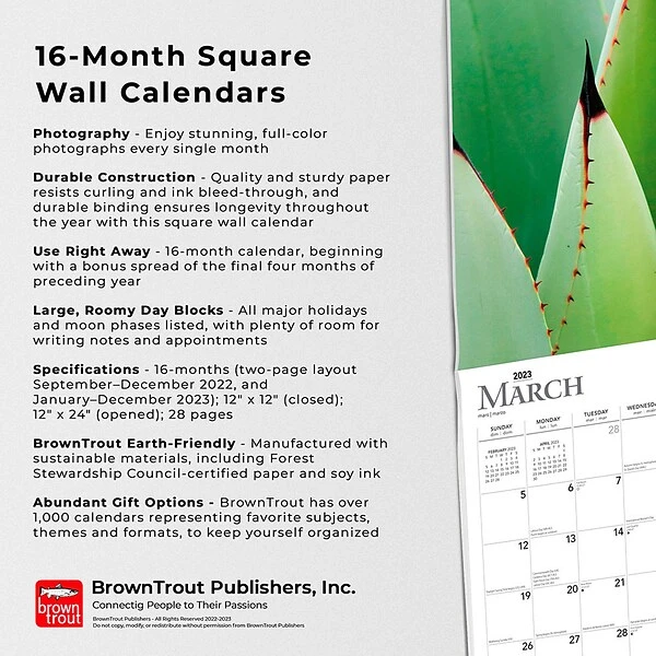 2023 BrownTrout Succulents 12" X 12" Monthly Wall Calendar (9781975452872) 6 2023 BrownTrout Succulents 12" X 12" Monthly Wall Calendar (9781975452872) - Image 4