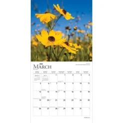 2023 BrownTrout Wildflowers 12" X 12" Monthly Wall Calendar (9781975456474) 10 2023 BrownTrout Wildflowers 12" X 12" Monthly Wall Calendar (9781975456474) -Bostich Shop 41BD46E2 E306 4287 97A80C2A2D22F88A s7