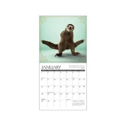 Bostich Shop 26 Bostich Shop -Bostich Shop 42C65E6F BF71 4229 ABAE2BBEA7595E8E s7