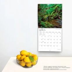 2023 BrownTrout California Nature 12" X 24" Monthly Wall Calendar, (9781975448561) -Bostich Shop 4C5E1E48 7B33 4EC2 BCF8A87CE94F27CD s7