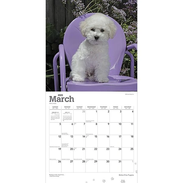 2023 BrownTrout Bichon Frise Puppies 12" X 12" Monthly Wall Calendar, (9781975454951) 4 2023 BrownTrout Bichon Frise Puppies 12" X 12" Monthly Wall Calendar, (9781975454951) - Image 2