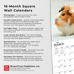 2023 BrownTrout Guinea Pigs 12" X 12" Monthly Wall Calendar, (9781975451769) 12 2023 BrownTrout Guinea Pigs 12" X 12" Monthly Wall Calendar, (9781975451769) -Bostich Shop 571BBF0C E7C7 4CE0 A947AE773E90EAD9 s7