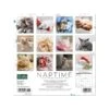 2023 Willow Creek Naptime - A Cat's Favorite Pastime 7" X 7" Monthly Wall Calendar (30417) -Bostich Shop 652B1303 4609 4B7E 94EF8AD3F11586A8 s7