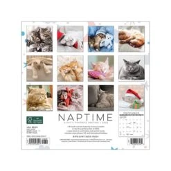 2023 Willow Creek Naptime - A Cat's Favorite Pastime 7" X 7" Monthly Wall Calendar (30417)