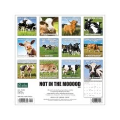2023 Willow Creek Not In The Mooood 12" X 12" Monthly Wall Calendar (27059)