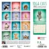 2023 BrownTrout Yoga Cats OFFICIAL 12" X 12" Monthly Wall Calendar, (9781975450199) -Bostich Shop 682B3EAD 4E96 406C 9EA549786B3AA94D s7