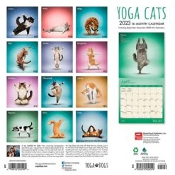2023 BrownTrout Yoga Cats OFFICIAL 12" X 12" Monthly Wall Calendar, (9781975450199)