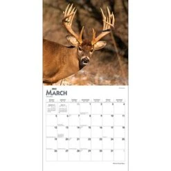2023 BrownTrout White Tailed Deer 12" X 12" Monthly Wall Calendar (9781975449117) 10 2023 BrownTrout White Tailed Deer 12" X 12" Monthly Wall Calendar (9781975449117) -Bostich Shop 6D619564 809F 476C A49EAA7B1CFC4982 s7