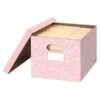 Fellows Basic Duty Storage Box, Lift Off Lid, Letter/Legal Pink Rose, 4/Pack (100016406) -Bostich Shop 7746DC2D A961 4F8F 874D3D8876FEC66F s7