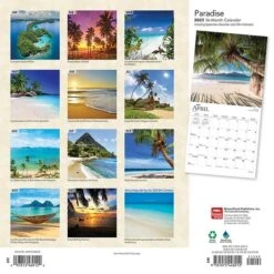 2023 BrownTrout Paradise 12" X 12" Monthly Wall Calendar (9781975448912)