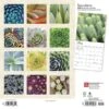 2023 BrownTrout Succulents 12" X 12" Monthly Wall Calendar (9781975452872) -Bostich Shop 8911FA61 1E5C 4224 8F8C012F824309C2 s7