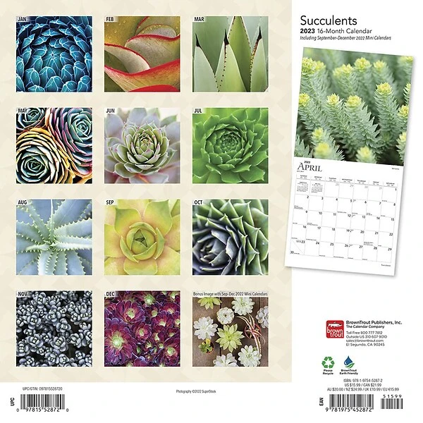 2023 BrownTrout Succulents 12" X 12" Monthly Wall Calendar (9781975452872) 3 2023 BrownTrout Succulents 12" X 12" Monthly Wall Calendar (9781975452872)
