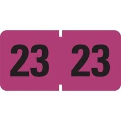 Smead ETYJ 2023 Color-Coded Year Label, 0.75" X 1.5", Purple, 500/Roll (68323)