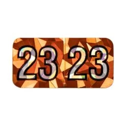 Medical Arts Press Holographic End-Tab 2023 Year Label, 1-1/2" X 3/4", Orange, 500/Roll (073HOR)