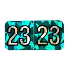 Medical Arts Press Holographic End-Tab 2023 Year Label, 1-1/2" X 3/4", Aqua, 500/Roll (0723HAQ)