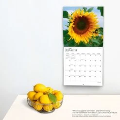 2023 BrownTrout Sunflowers 12" X 24" Monthly Wall Calendar, (9781975448837) -Bostich Shop 952D7704 F65A 4AF9 89D14704A64CDBA2 s7
