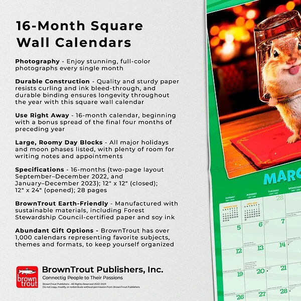 2023 BrownTrout Avanti Livin' The Dream 12" X 12" Monthly Wall Calendar (9781975456207) 6 2023 BrownTrout Avanti Livin' The Dream 12" X 12" Monthly Wall Calendar (9781975456207) - Image 4