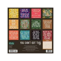 2023 Willow Creek You Don't Got This 12" X 12" Monthly Wall Calendar (28346)