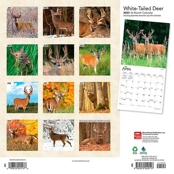 2023 BrownTrout White Tailed Deer 12" X 12" Monthly Wall Calendar (9781975449117) 3 2023 BrownTrout White Tailed Deer 12" X 12" Monthly Wall Calendar (9781975449117)