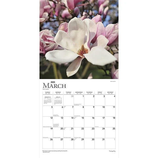 2023 BrownTrout Tranquility 12" X 12" Monthly Wall Calendar, (9781975452919) 4 2023 BrownTrout Tranquility 12" X 12" Monthly Wall Calendar, (9781975452919) - Image 2