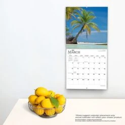 2023 BrownTrout Tropical Islands 12" X 12" Monthly Wall Calendar (9781975448929) 11 2023 BrownTrout Tropical Islands 12" X 12" Monthly Wall Calendar (9781975448929) -Bostich Shop A7585643 C4E0 46B5 A87C2385F8C91E3E s7