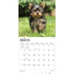 Bostich Shop 20 Bostich Shop -Bostich Shop AD72CA47 1BBF 4C47 B626C23D913E18ED s7