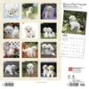 2023 BrownTrout Bichon Frise Puppies 12" X 12" Monthly Wall Calendar, (9781975454951) -Bostich Shop B4F62972 1578 43EC 94ADF89C9D1DB758 s7