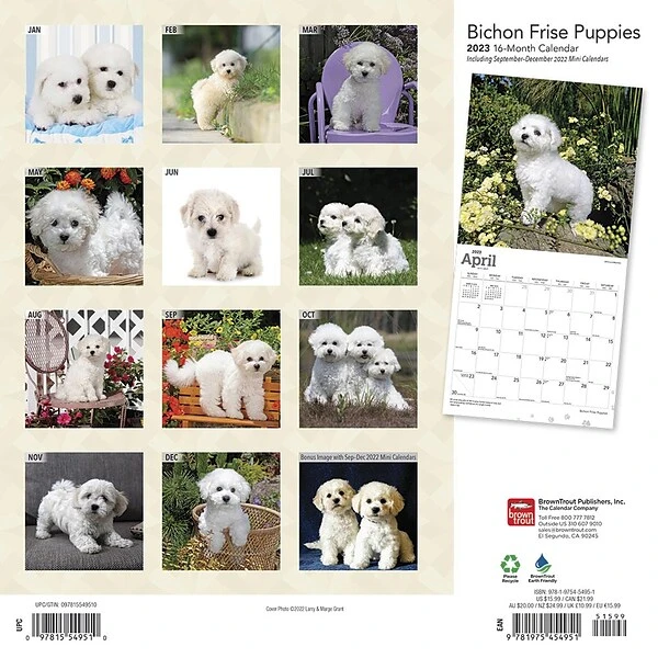 2023 BrownTrout Bichon Frise Puppies 12" X 12" Monthly Wall Calendar, (9781975454951) 3 2023 BrownTrout Bichon Frise Puppies 12" X 12" Monthly Wall Calendar, (9781975454951)