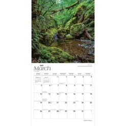 2023 BrownTrout California Nature 12" X 24" Monthly Wall Calendar, (9781975448561) -Bostich Shop B9FB5F6B E3CD 49DA B1A503FF5896A27C s7