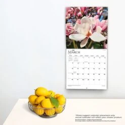 2023 BrownTrout Tranquility 12" X 12" Monthly Wall Calendar, (9781975452919) 11 2023 BrownTrout Tranquility 12" X 12" Monthly Wall Calendar, (9781975452919) -Bostich Shop BFE49FD4 02DD 4B19 BC903F6CB7F0F53B s7