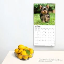 2023 BrownTrout Yorkshire Terrier Puppies 12" X 12" Monthly Wall Calendar (9781975449285) -Bostich Shop C40D545A EF5E 4DA6 868C32B2C7C63936 s7