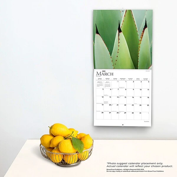 2023 BrownTrout Succulents 12" X 12" Monthly Wall Calendar (9781975452872) 5 2023 BrownTrout Succulents 12" X 12" Monthly Wall Calendar (9781975452872) - Image 3
