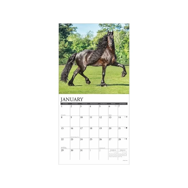 2023 Willow Creek Horse Feathers 12" X 12" Monthly Wall Calendar (26335) 4 2023 Willow Creek Horse Feathers 12" X 12" Monthly Wall Calendar (26335) - Image 2