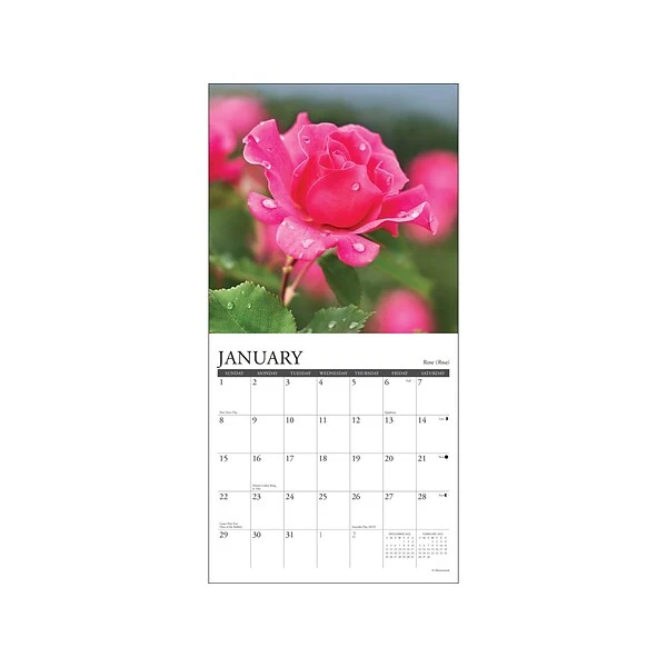 2023 Willow Creek Flowers 7" X 7" Monthly Wall Calendar (30394) 4 2023 Willow Creek Flowers 7" X 7" Monthly Wall Calendar (30394) - Image 2