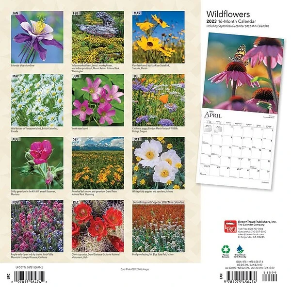 2023 BrownTrout Wildflowers 12" X 12" Monthly Wall Calendar (9781975456474) 3 2023 BrownTrout Wildflowers 12" X 12" Monthly Wall Calendar (9781975456474)