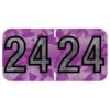 Medical Arts Press® Holographic End-Tab Year Labels, 2024, Violet, 500/Roll (0724HV) -Bostich Shop D19AE637 5F61 460D 9F0B1F0AEFCBD953 s7