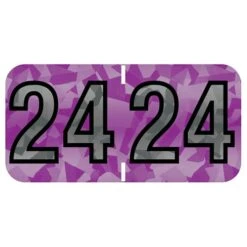 Medical Arts Press® Holographic End-Tab Year Labels, 2024, Violet, 500/Roll (0724HV)