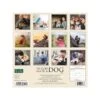 2023 Willow Creek So God Made A Dog 12" X 12" Monthly Wall Calendar (27769) 2 2023 Willow Creek So God Made A Dog 12" X 12" Monthly Wall Calendar (27769) -Bostich Shop D330B859 47E8 4932 8F50A50AC54CC780 s7