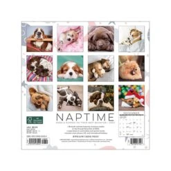 2023 Willow Creek Naptime - Dogs & Puppies On Their Best Behavior 7" X 7" Monthly Wall Calendar (30424)